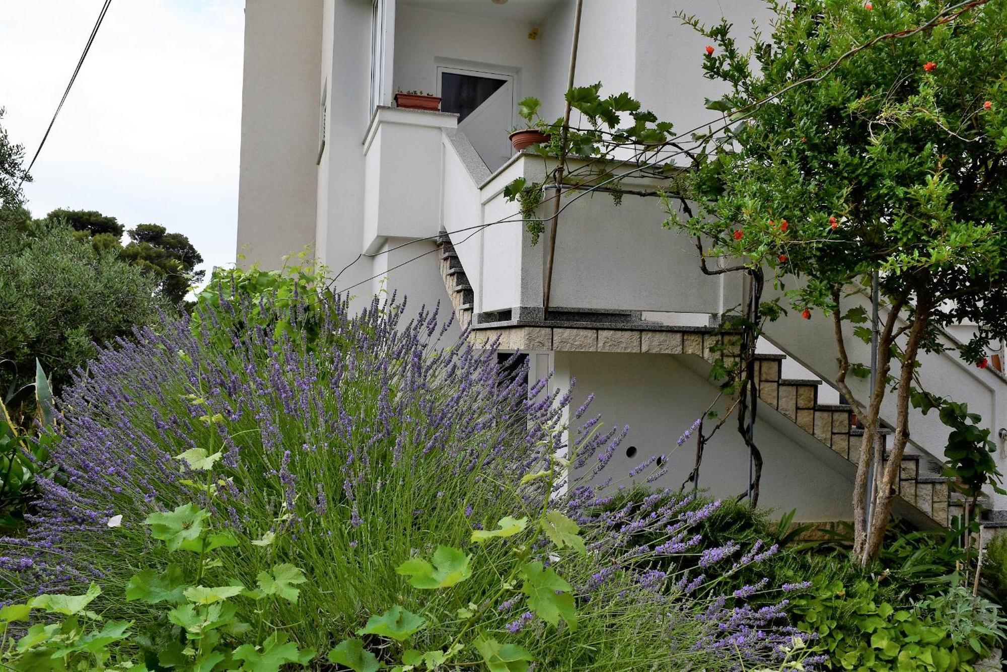 Sunnyy Beacch Apartments Banjol Phòng bức ảnh